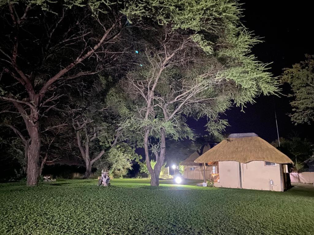 Big 5 Toro Lodge Касане Экстерьер фото